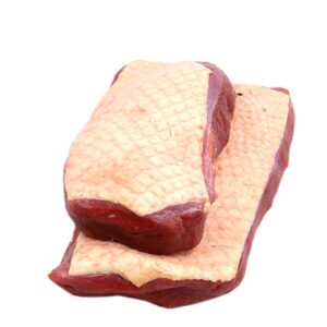 Französische Barbarie Ente Französische Barbarie Ente