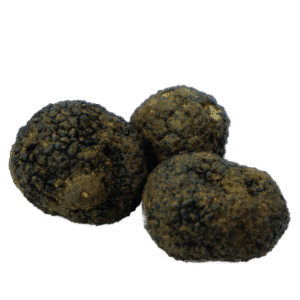 Schwarzer Herbsttrüffel