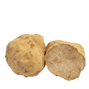 Weißer Wintertrüffel