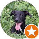 Amber Galgo profile picture